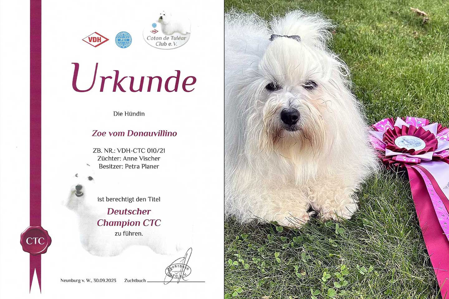 Deutscher Champion CTC