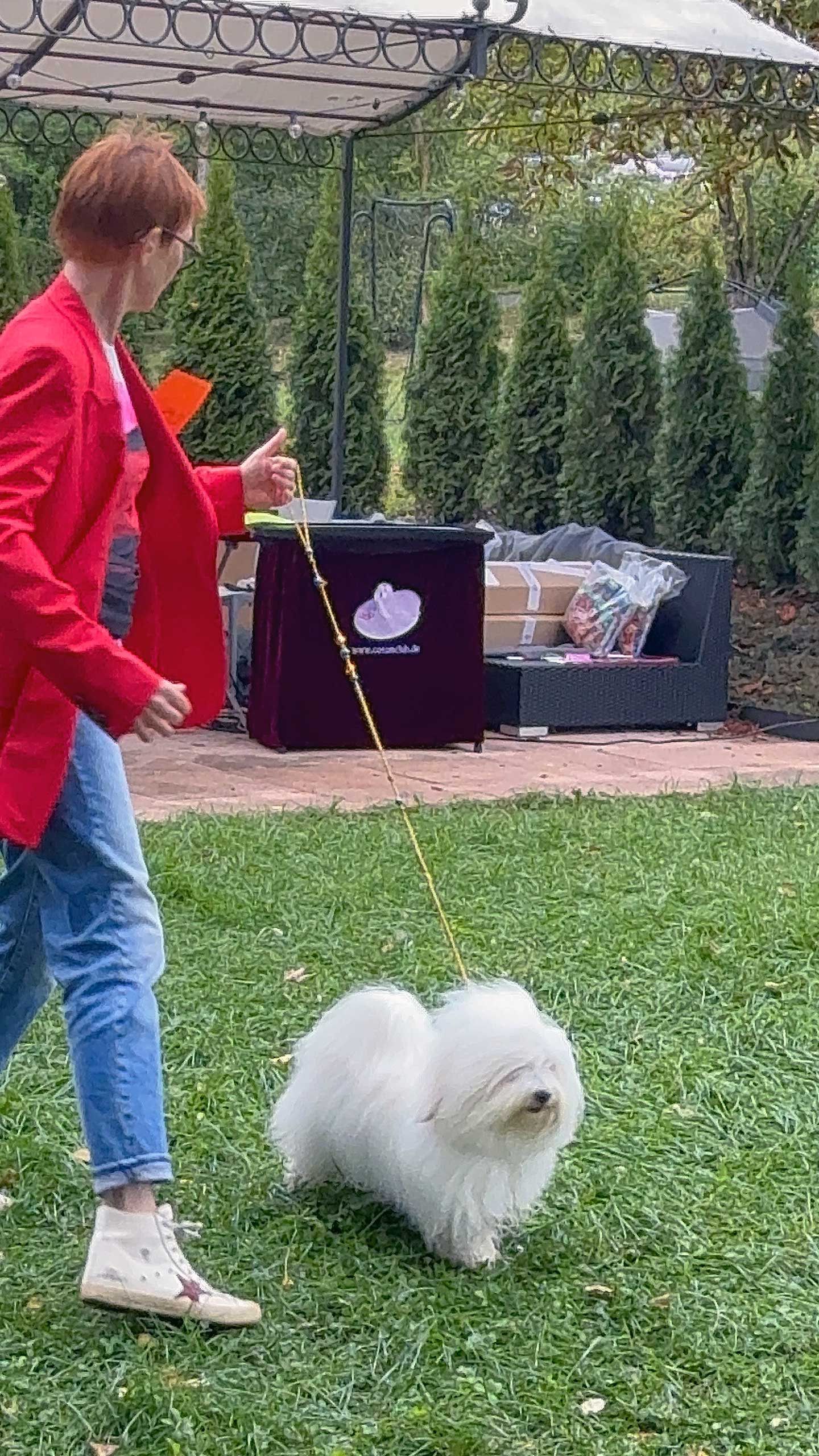 Amara vom Moseldorfschloss ist nun offiziell Deutscher Jugend-Champion (CTC).