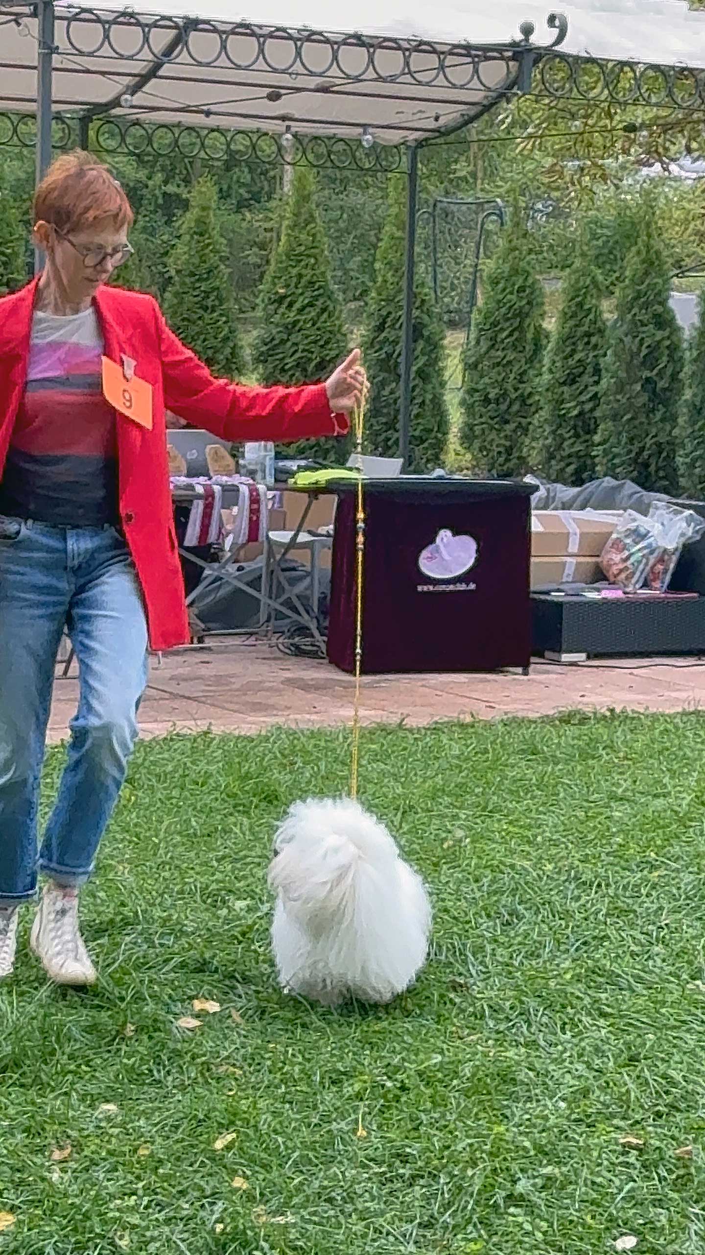 Amara vom Moseldorfschloss ist nun offiziell Deutscher Jugend-Champion (CTC).