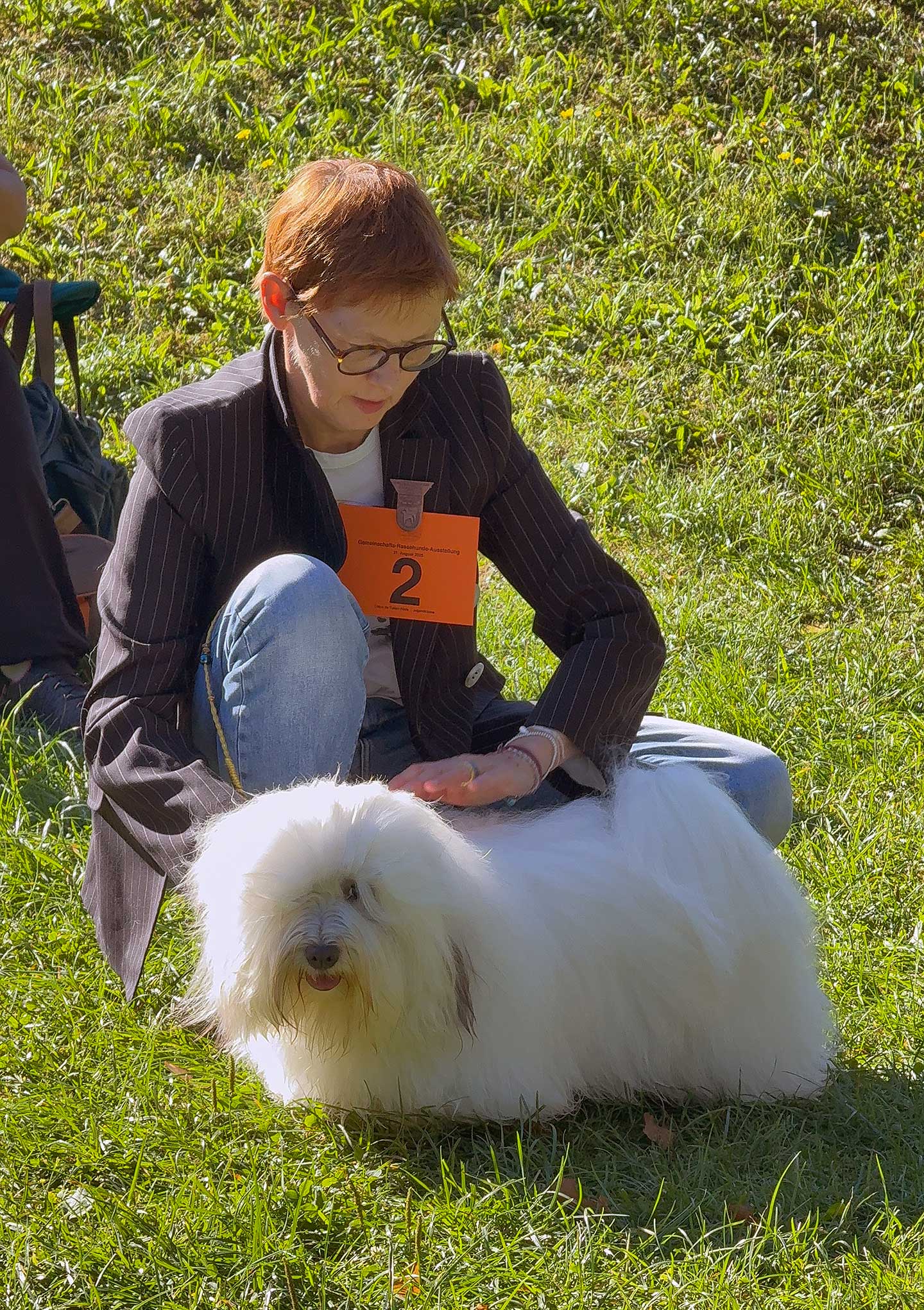 FILOMENO vom Donauvillino ist nun offiziell Deutscher Jugend-Champion VDH und Deutscher Jugend-Champion CTC