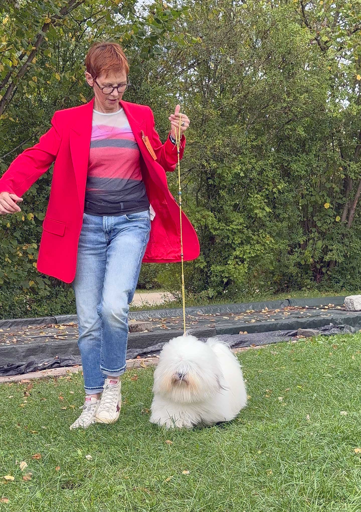 FILOMENO vom Donauvillino ist nun offiziell Deutscher Jugend-Champion VDH und Deutscher Jugend-Champion CTC