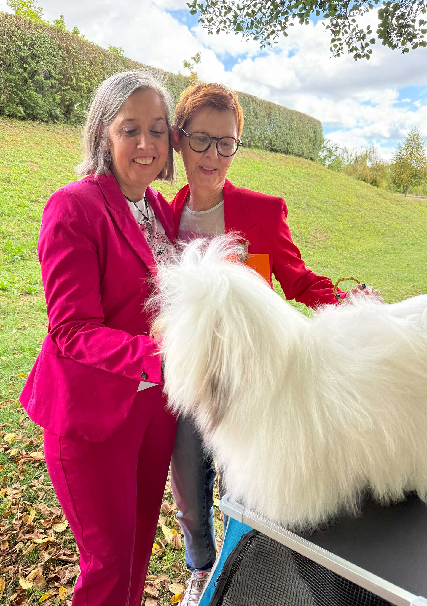 FILOMENO vom Donauvillino ist nun offiziell Deutscher Jugend-Champion VDH und Deutscher Jugend-Champion CTC