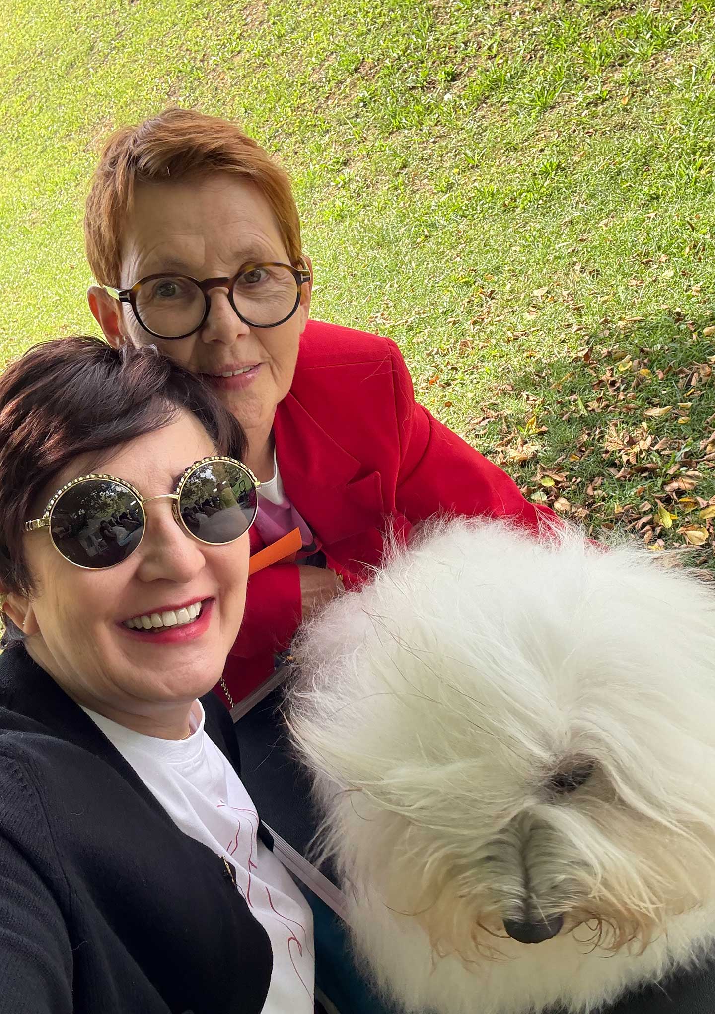 FILOMENO vom Donauvillino ist nun offiziell Deutscher Jugend-Champion VDH und Deutscher Jugend-Champion CTC