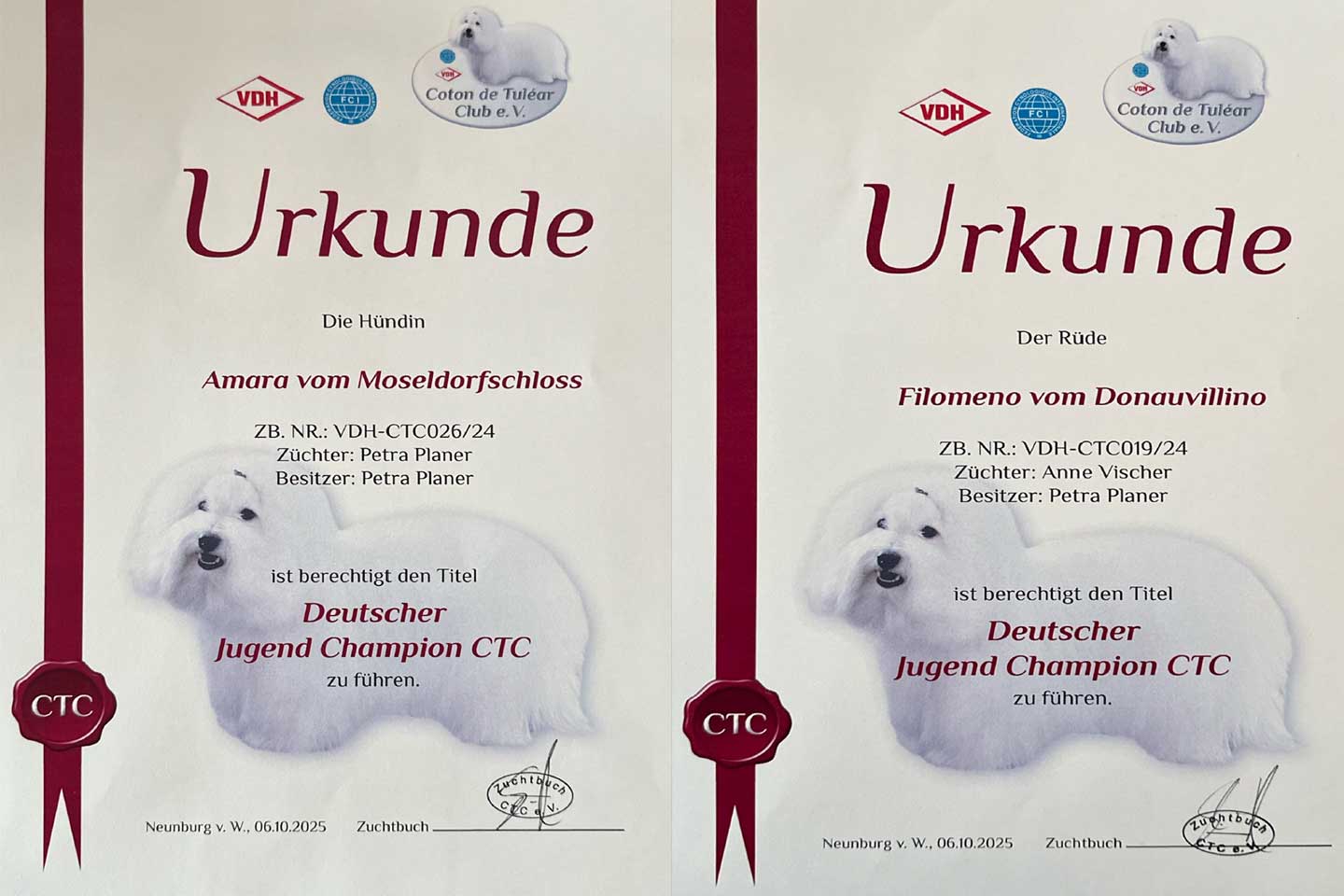 Deutscher Jugend-Champion (CTC)