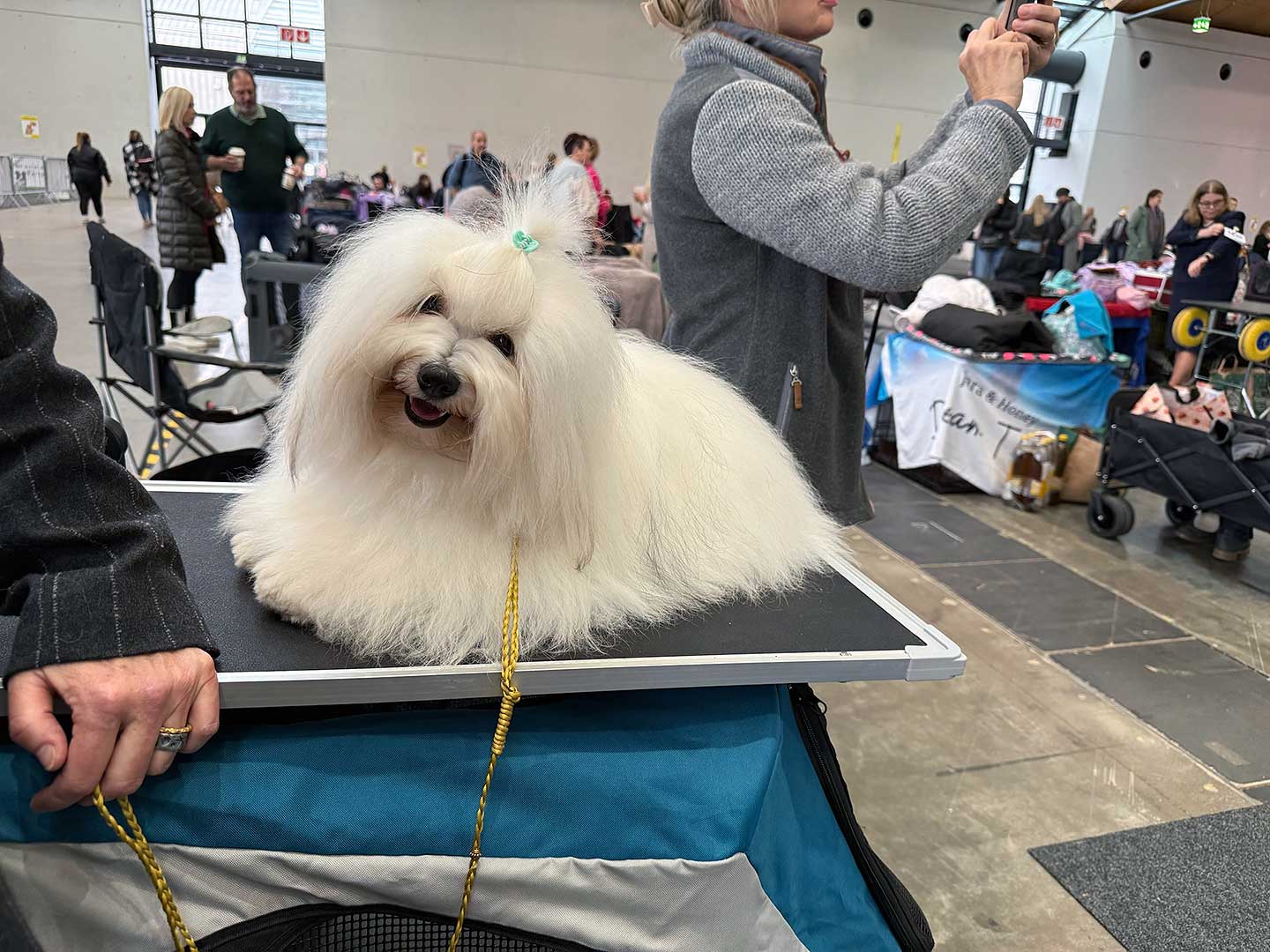 AMARA vom Moseldorfschloss