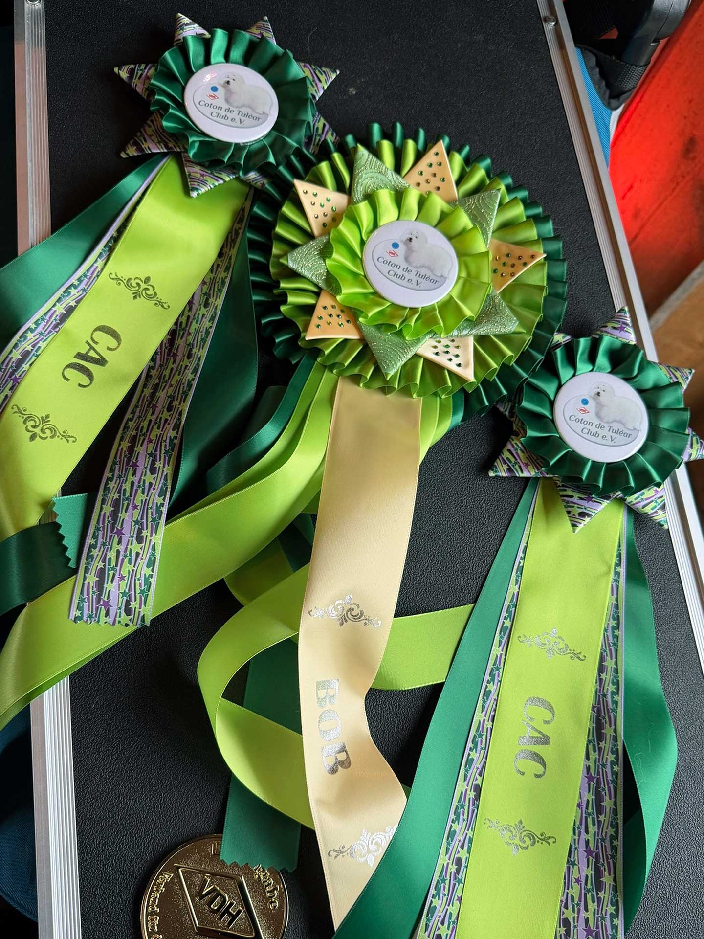 Amara vom Moseldorfschloss