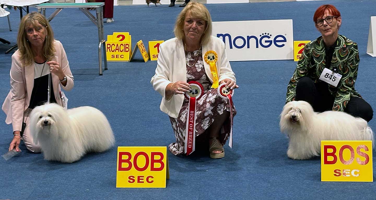 Successful Show Day in Liège