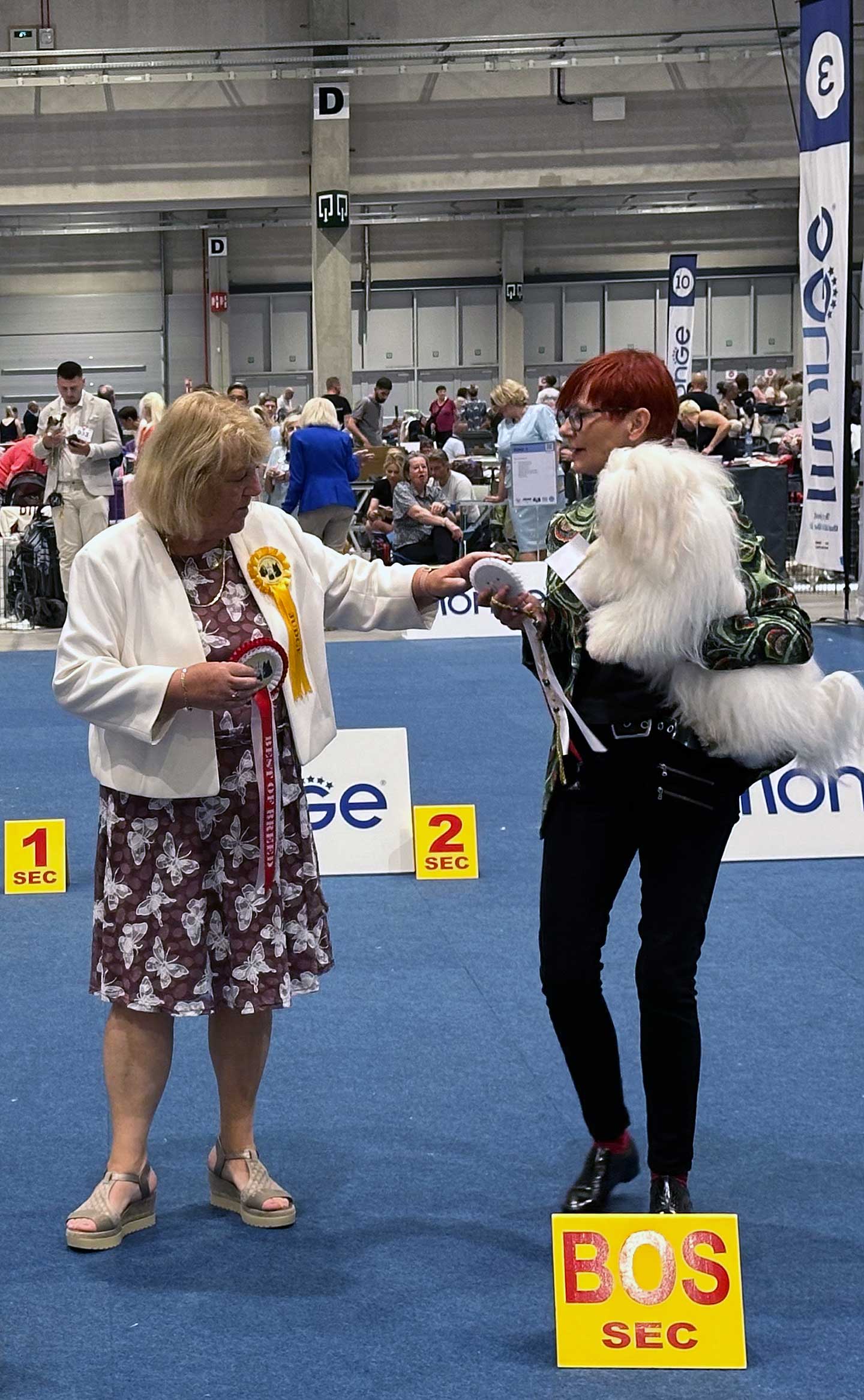 Successful Show Day in Liège