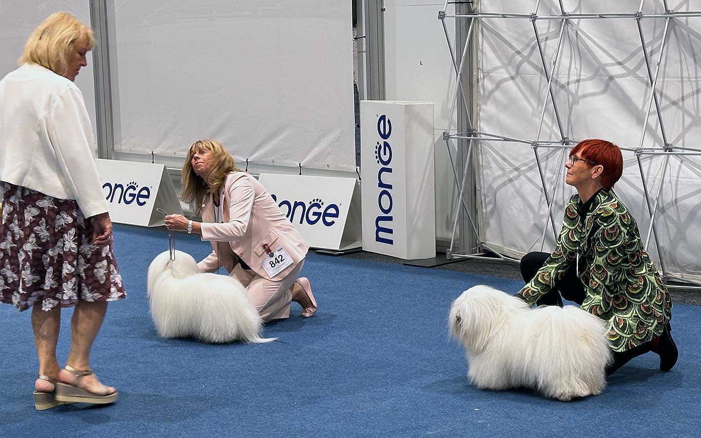 Successful Show Day in Liège