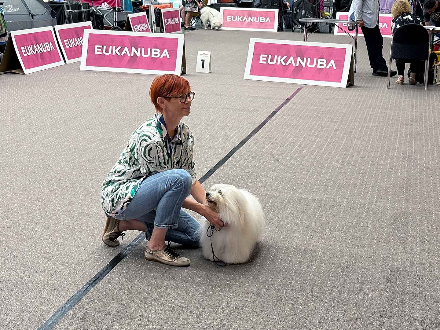 Internationalen Rassehunde-Ausstellung in Ludwigshafen am 16. August 2026