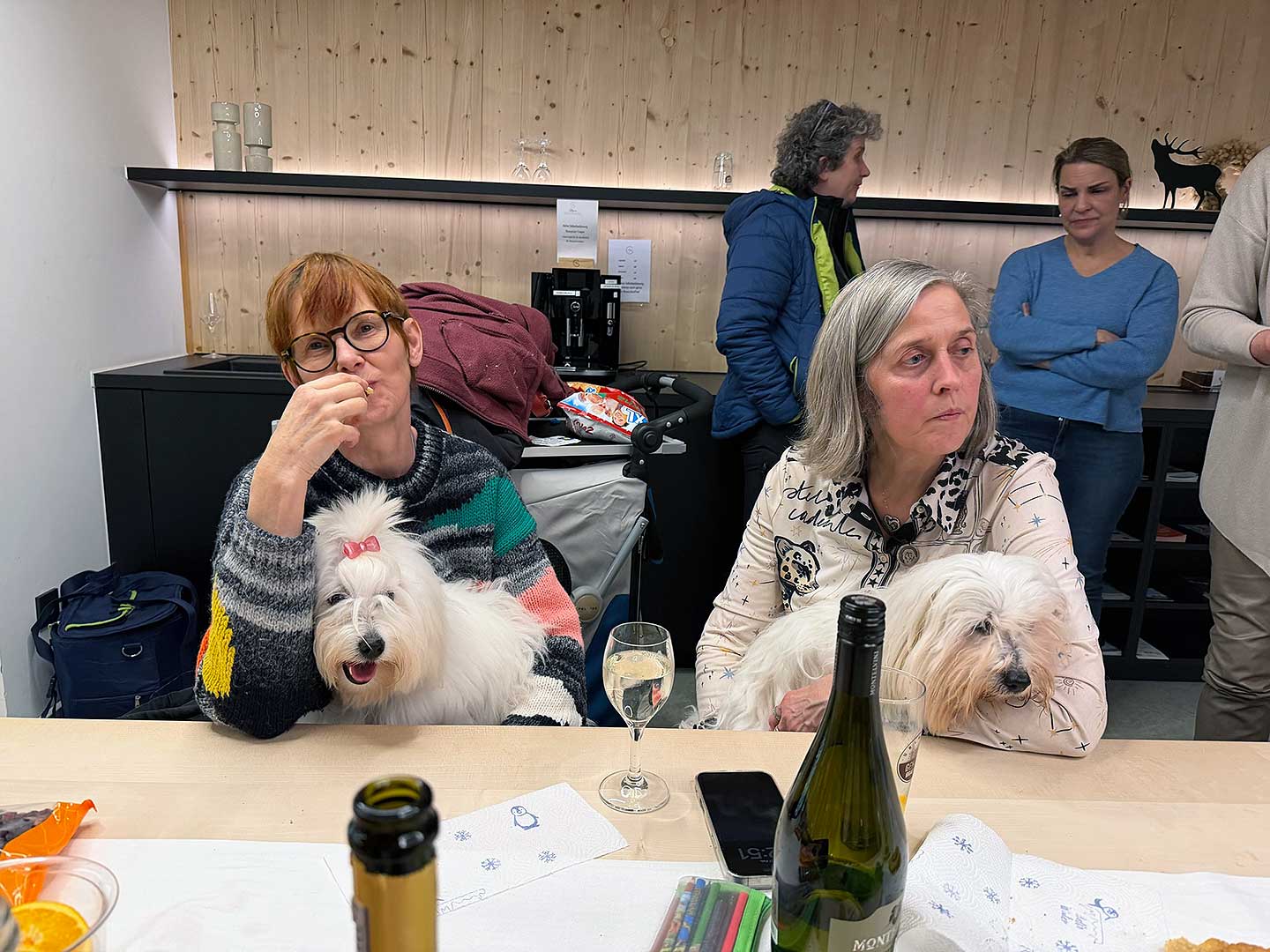 Review of Our Community Dog Shows in the Allgäu