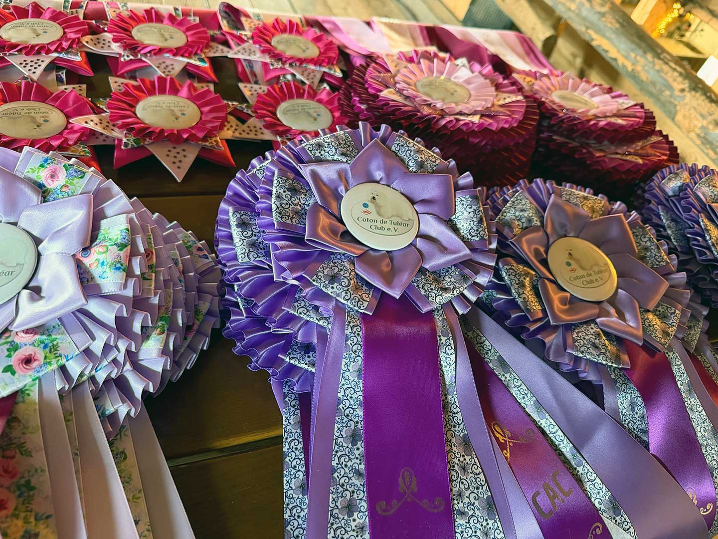 Review of Our Community Dog Shows in the Allgäu