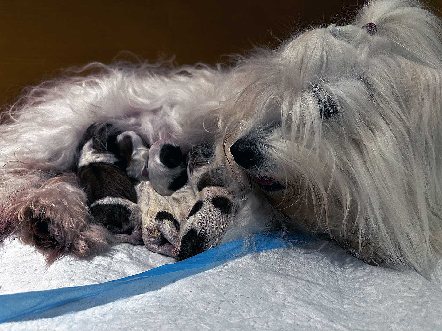 Ein ganz besonderer Moment