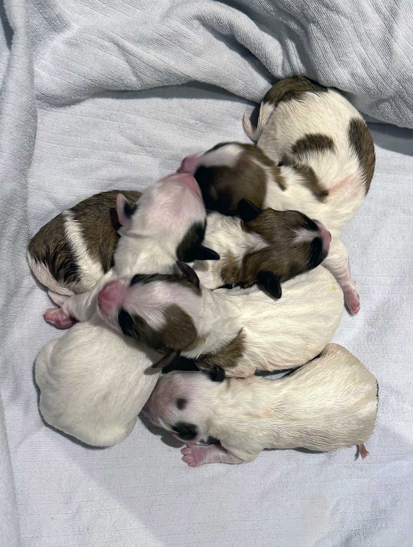 Ein ganz besonderer Moment