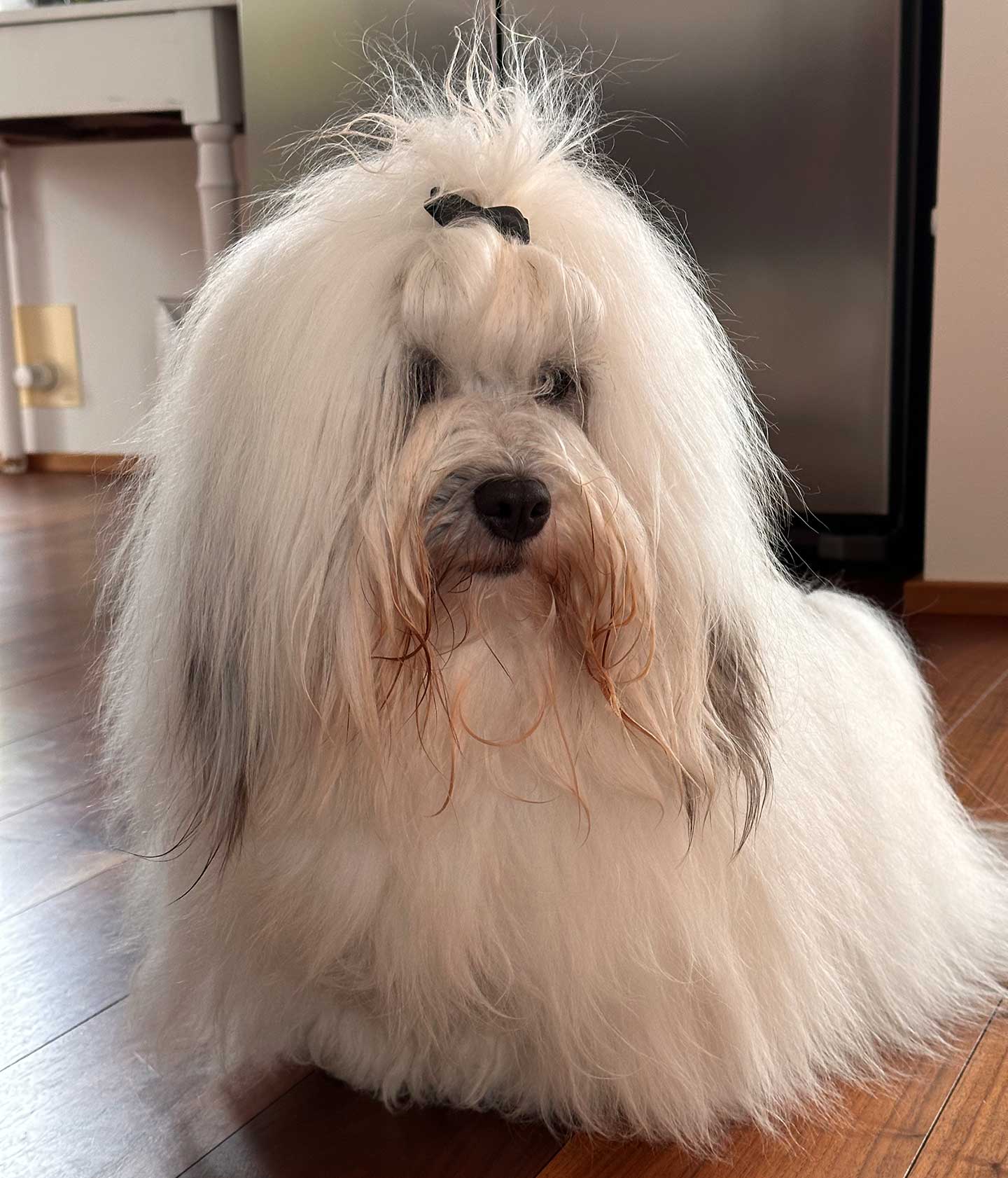 Filomeno vom Donauvillino