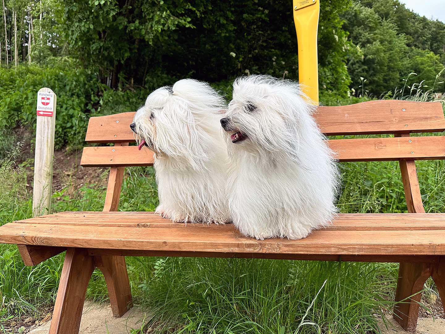Ich bin so gerne mit meiner Schwester zusammen