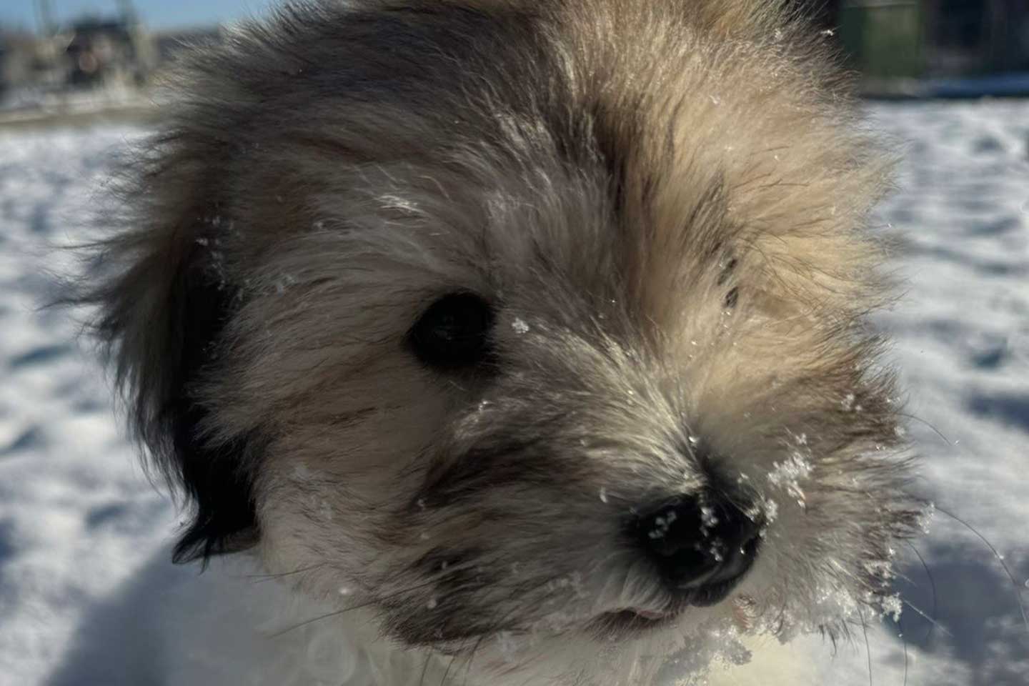 Es war ein stiller Wintertag im Moseldorfschloss